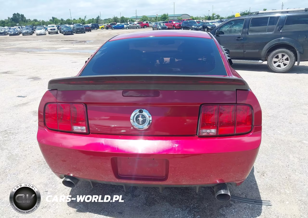 2008 Ford Mustang Gt Deluxe-Gt Premium VIN:1ZVHT82H785110602 - 16