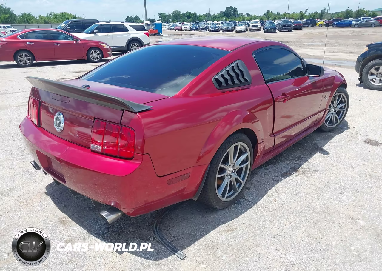 2008 Ford Mustang Gt Deluxe-Gt Premium VIN:1ZVHT82H785110602 - 4