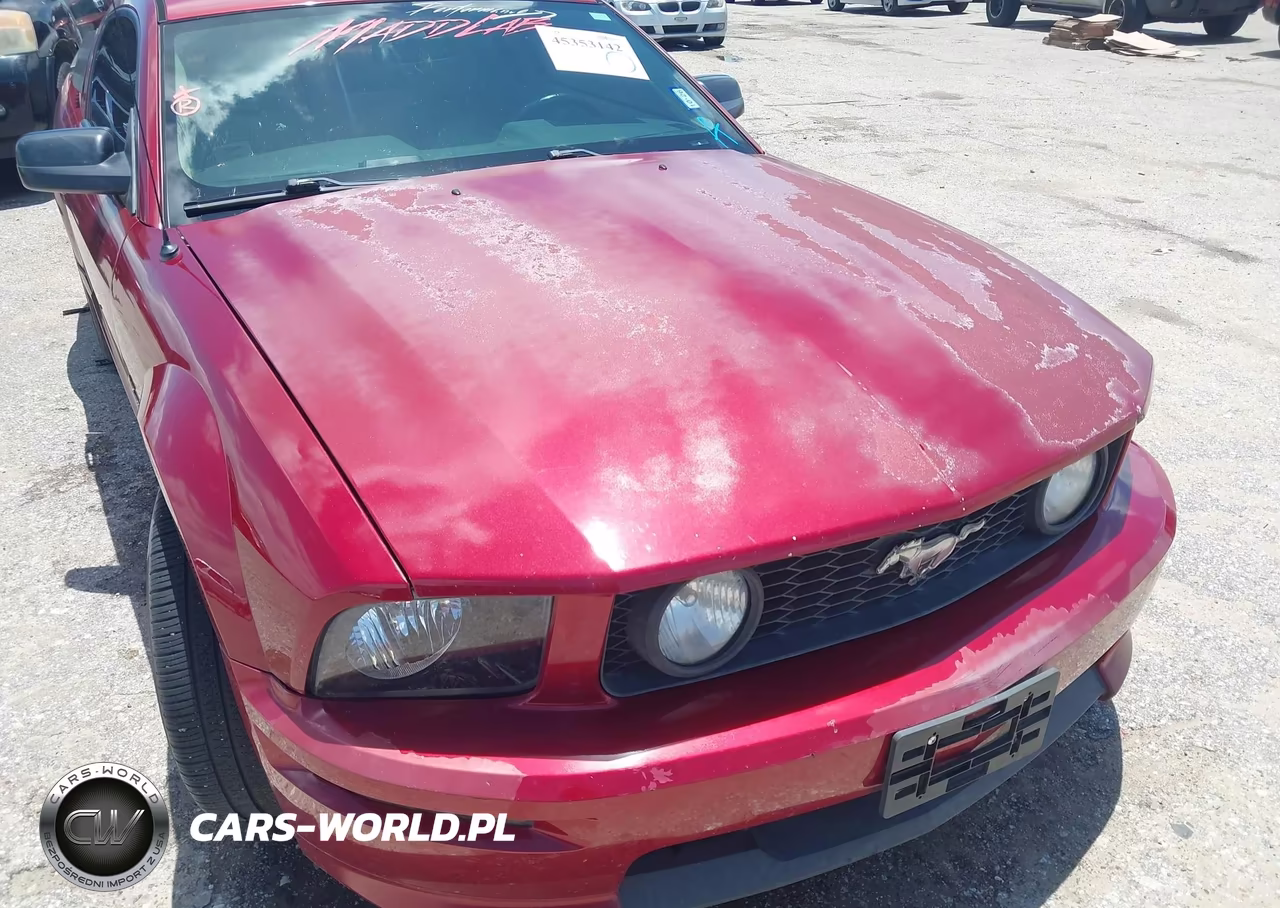 2008 Ford Mustang Gt Deluxe-Gt Premium VIN:1ZVHT82H785110602 - 6