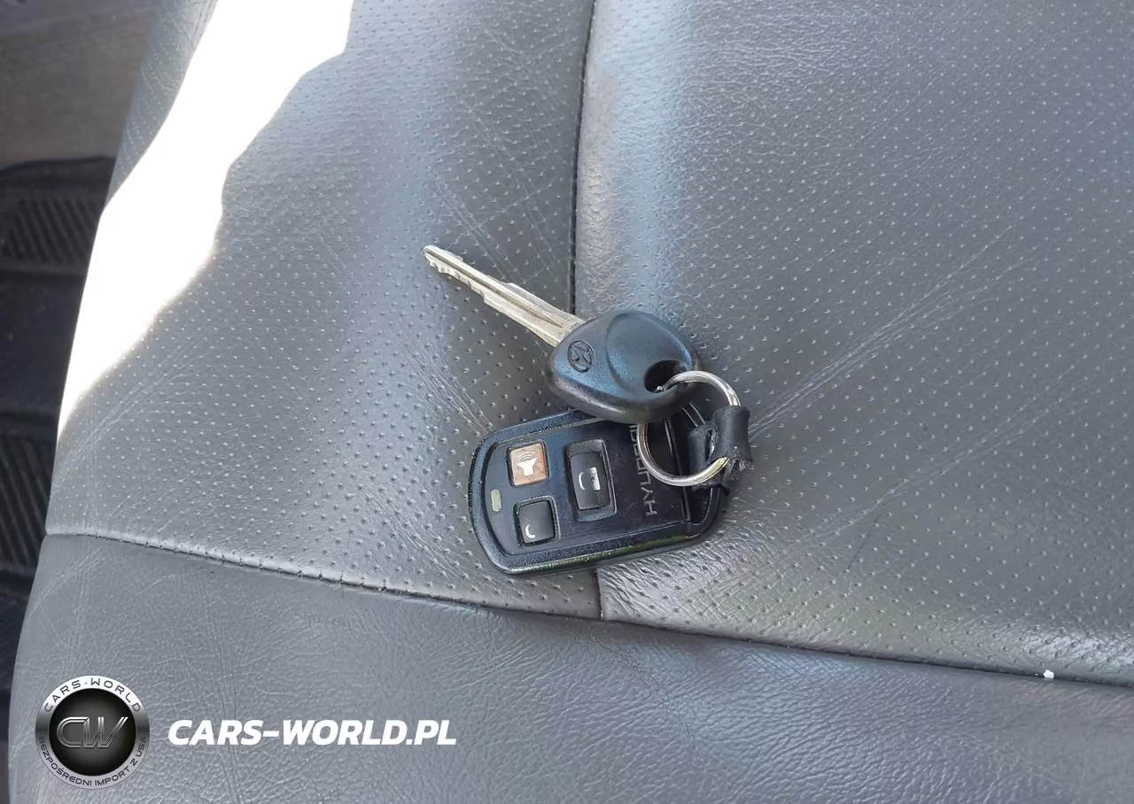 2003 Hyundai Santa Fe Gls-Lx VIN:KM8SC13E73U478471 - 11