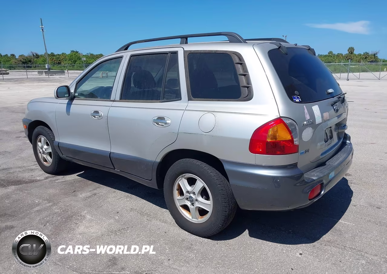 2003 Hyundai Santa Fe Gls-Lx VIN:KM8SC13E73U478471 - 3