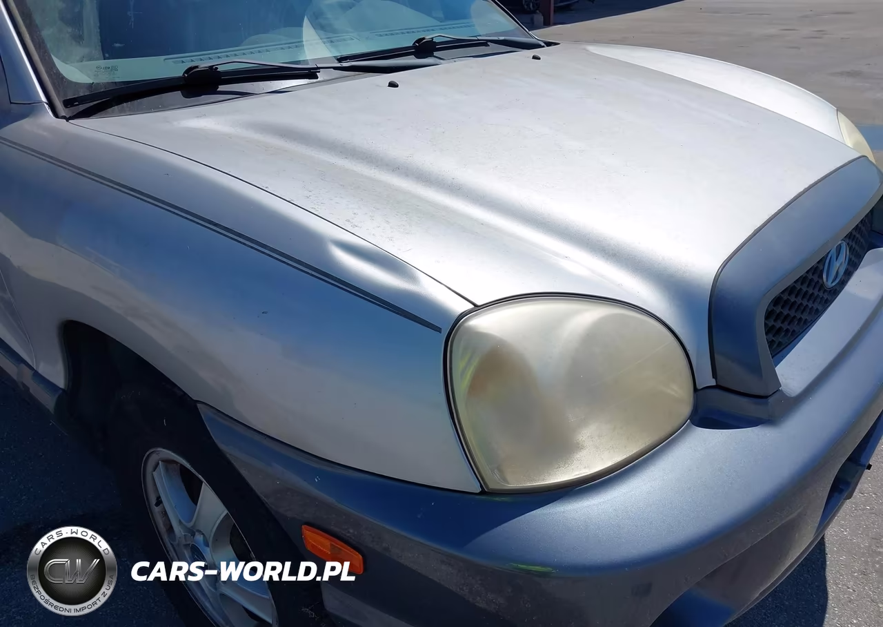 2003 Hyundai Santa Fe Gls-Lx VIN:KM8SC13E73U478471 - 6