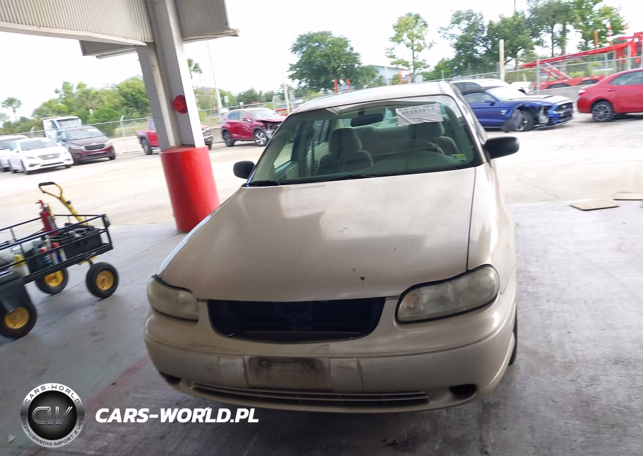2005 Chevrolet Classic VIN:1G1ND52F35M166806 - 12