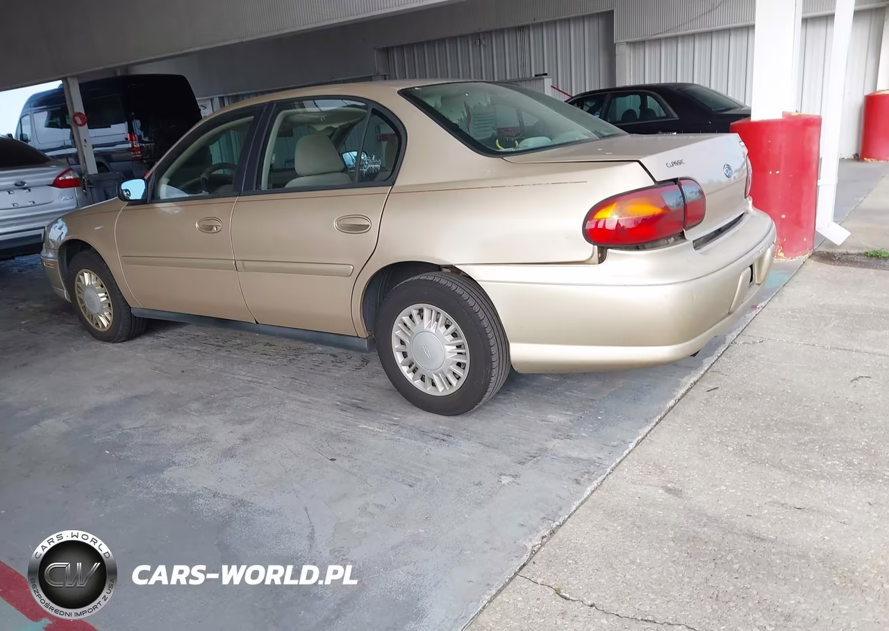 2005 Chevrolet Classic VIN:1G1ND52F35M166806 - 3