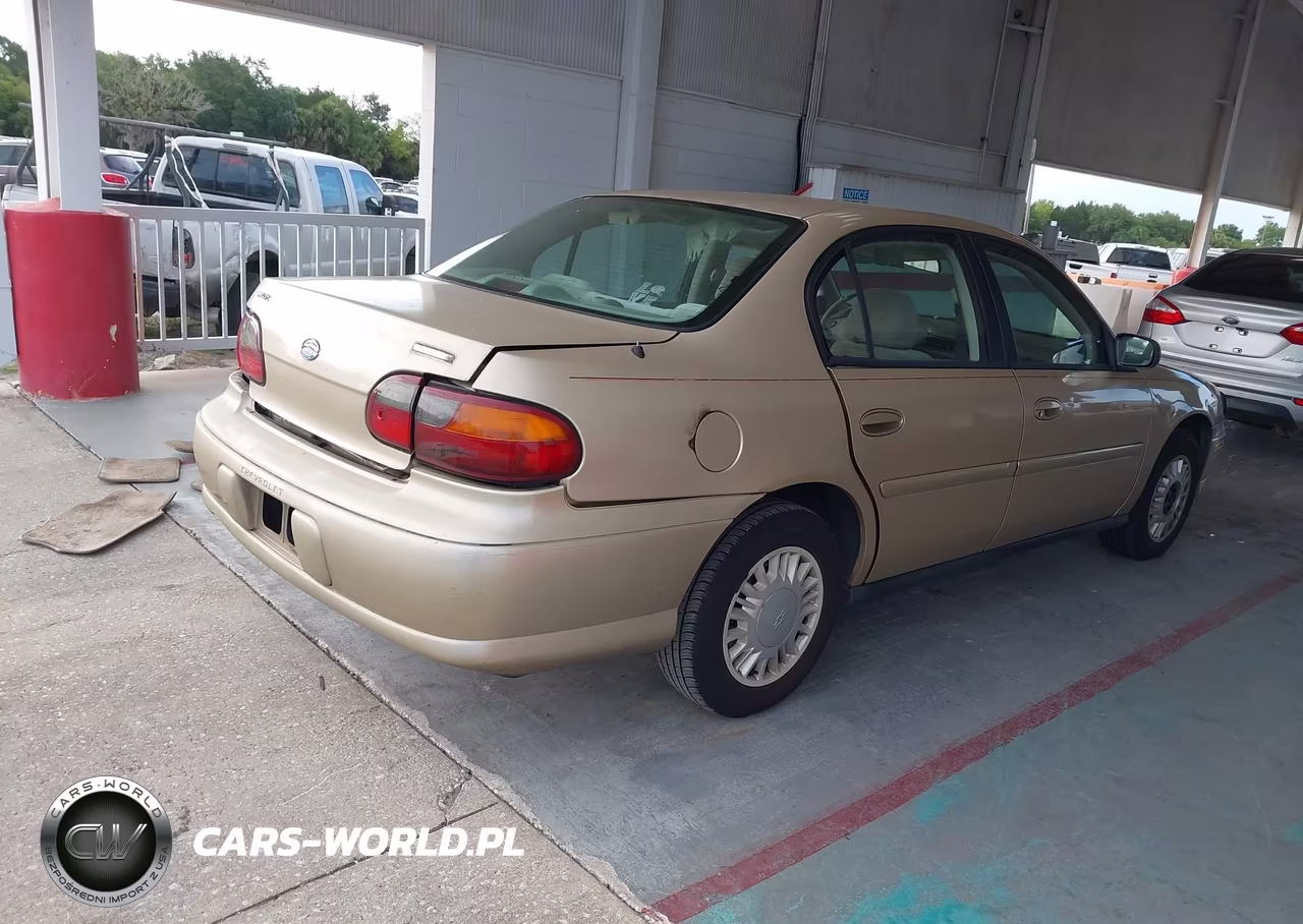 2005 Chevrolet Classic VIN:1G1ND52F35M166806 - 4