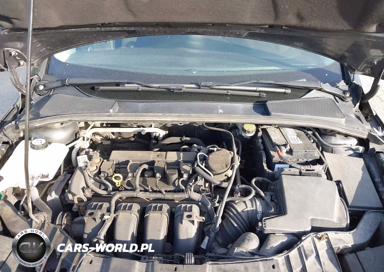 2015 Ford Focus Se VIN:1FADP3F21FL249573 - 10