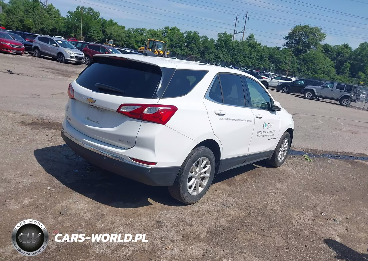 2019 Chevrolet Equinox Lt VIN:2GNAXTEV9K6204643 - 4