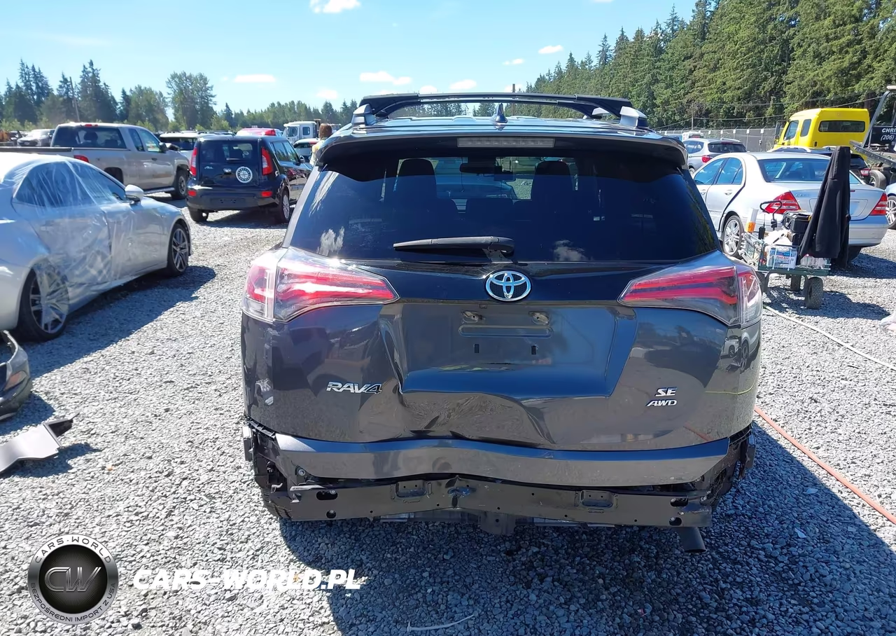 2016 Toyota Rav4 Se VIN:2T3JFREV5GW454312 - 17