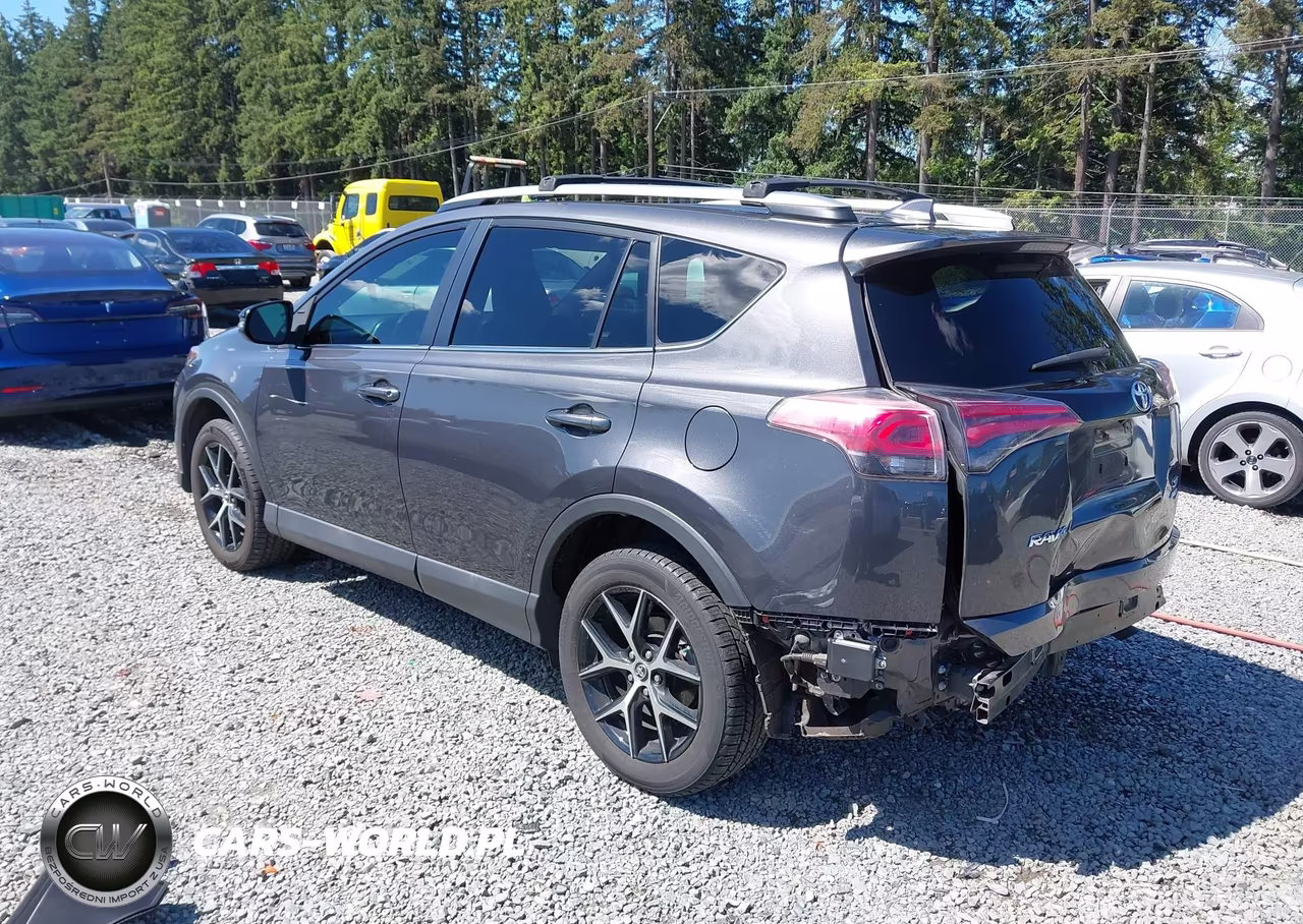 2016 Toyota Rav4 Se VIN:2T3JFREV5GW454312 - 3