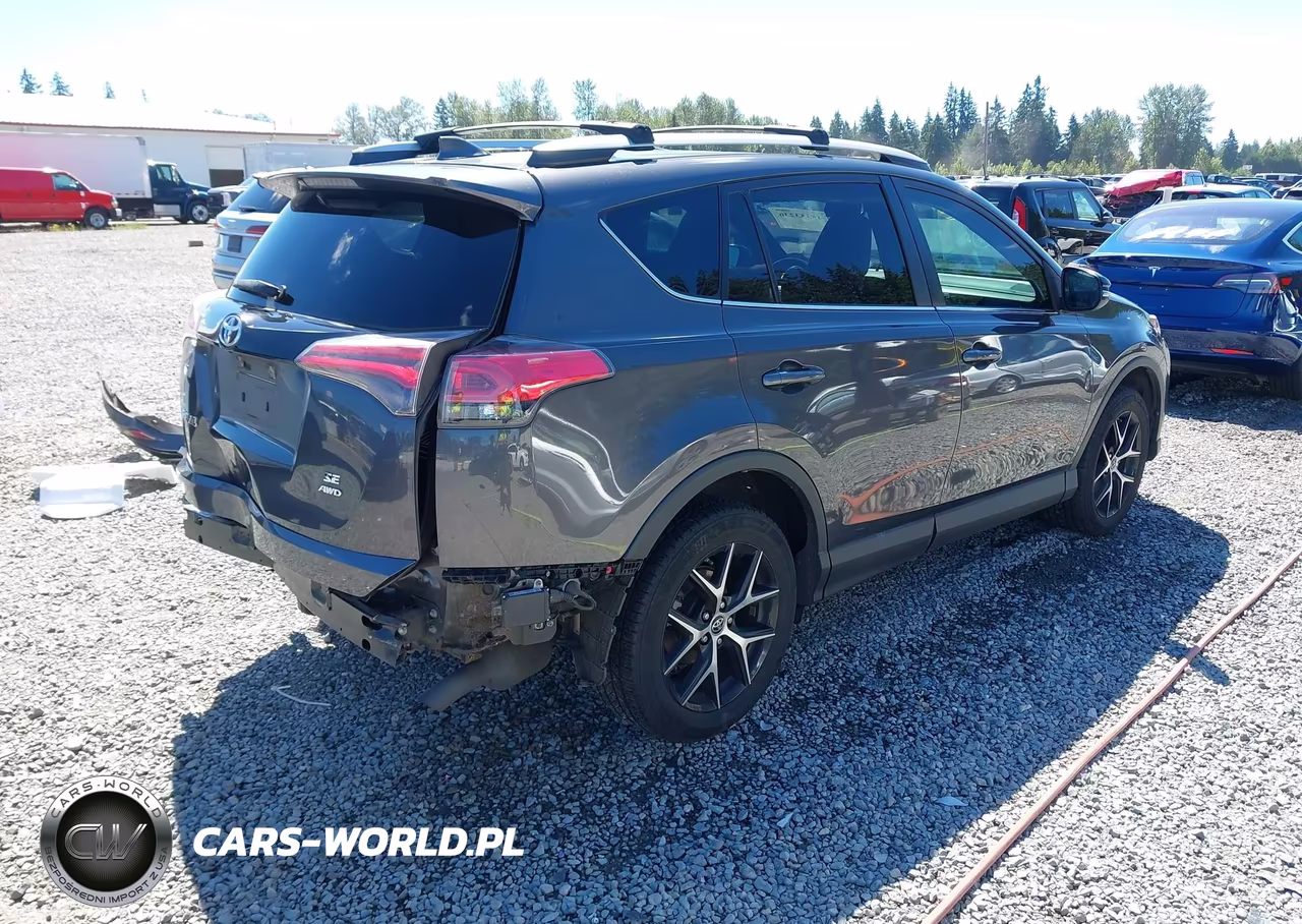 2016 Toyota Rav4 Se VIN:2T3JFREV5GW454312 - 4