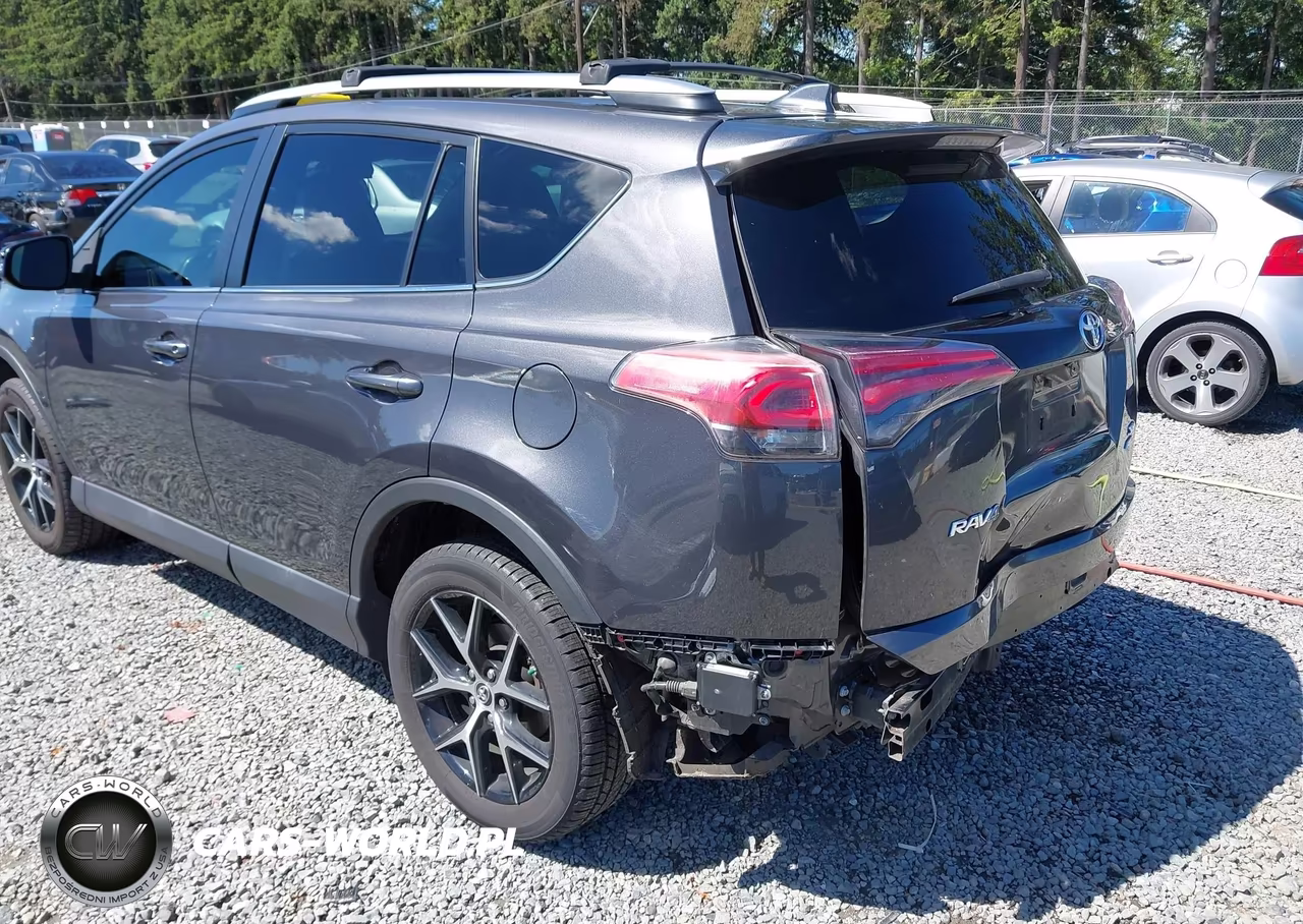 2016 Toyota Rav4 Se VIN:2T3JFREV5GW454312 - 6