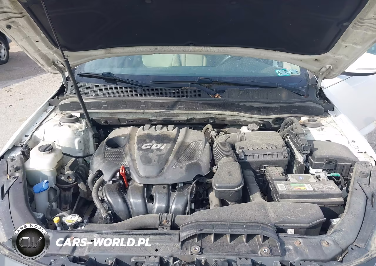 2015 Kia Optima Lx VIN:KNAGM4A70F5598735 - 10