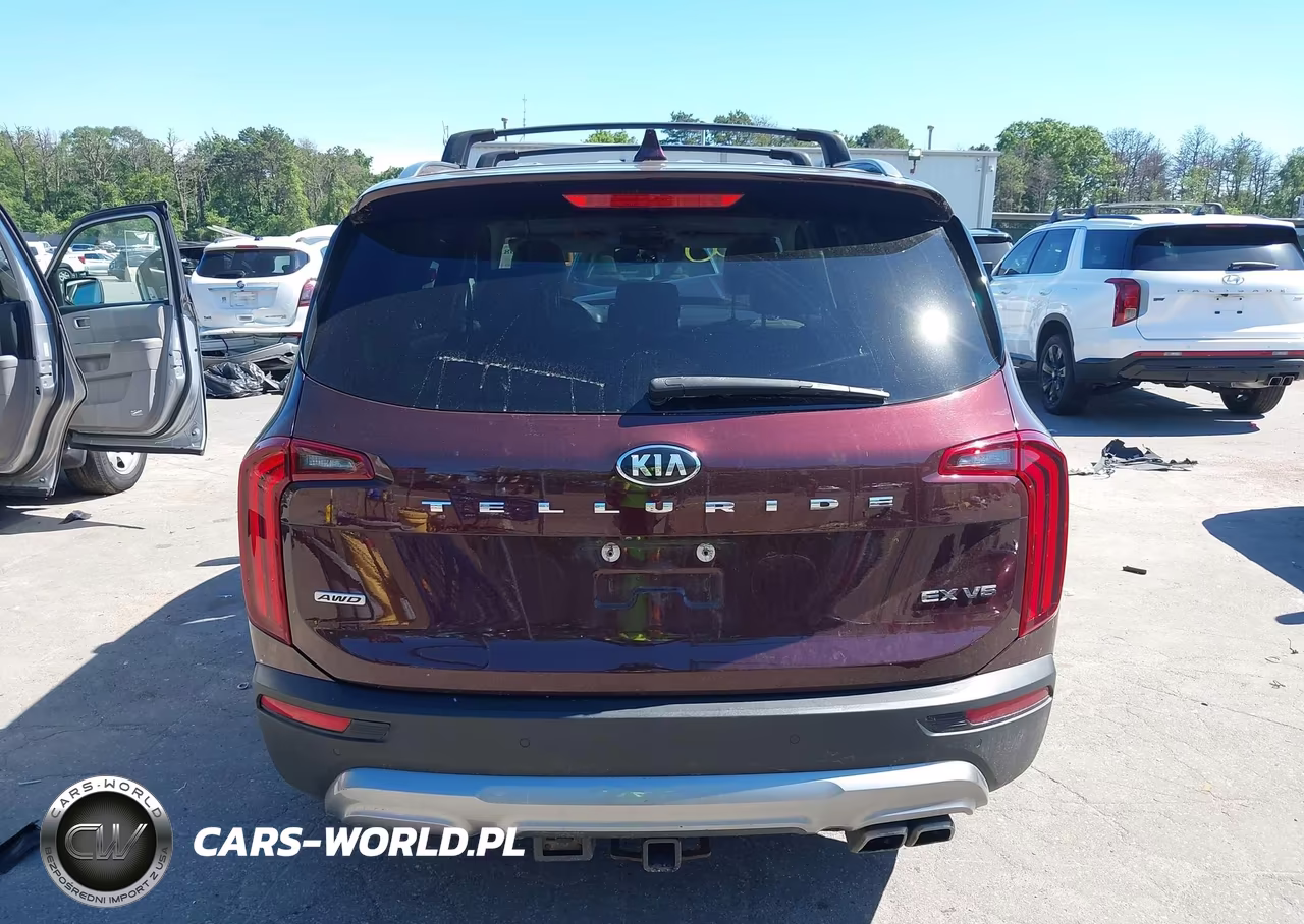 2020 Kia Telluride Ex VIN:5XYP3DHC2LG026593 - 17