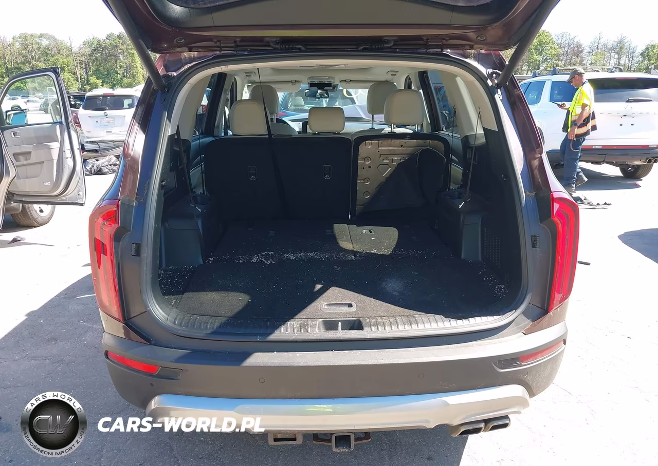 2020 Kia Telluride Ex VIN:5XYP3DHC2LG026593 - 19
