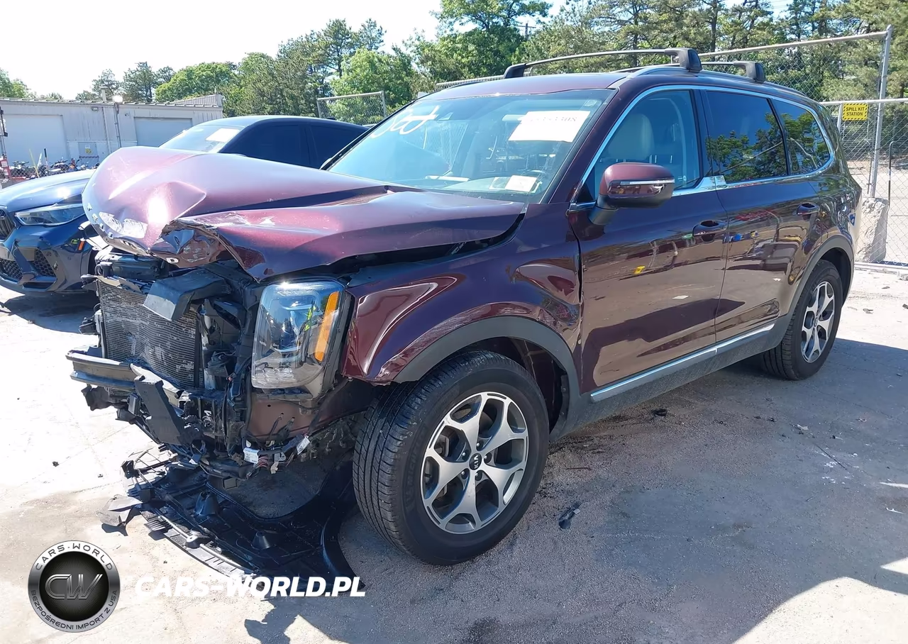 2020 Kia Telluride Ex VIN:5XYP3DHC2LG026593 - 2