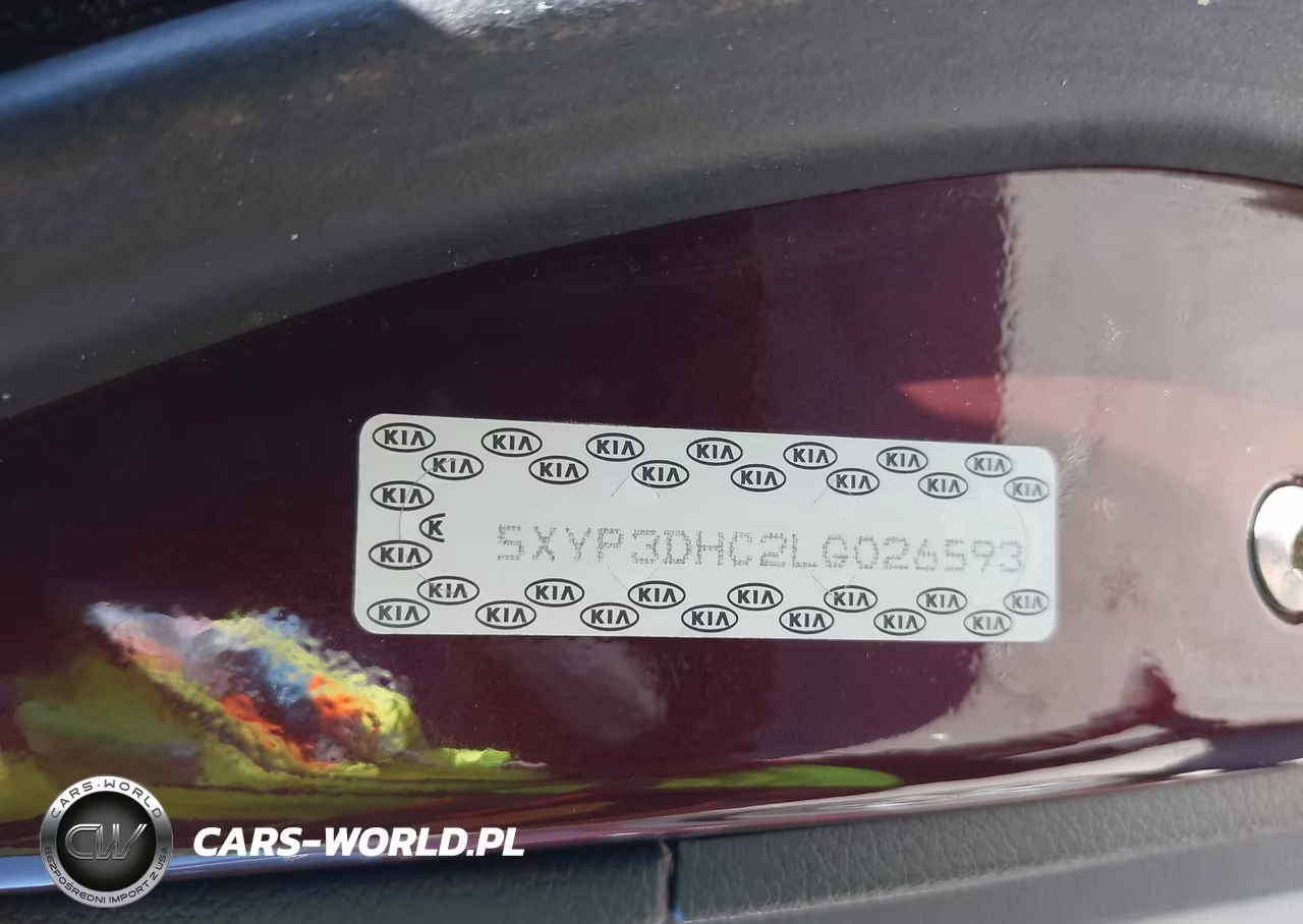 2020 Kia Telluride Ex VIN:5XYP3DHC2LG026593 - 21