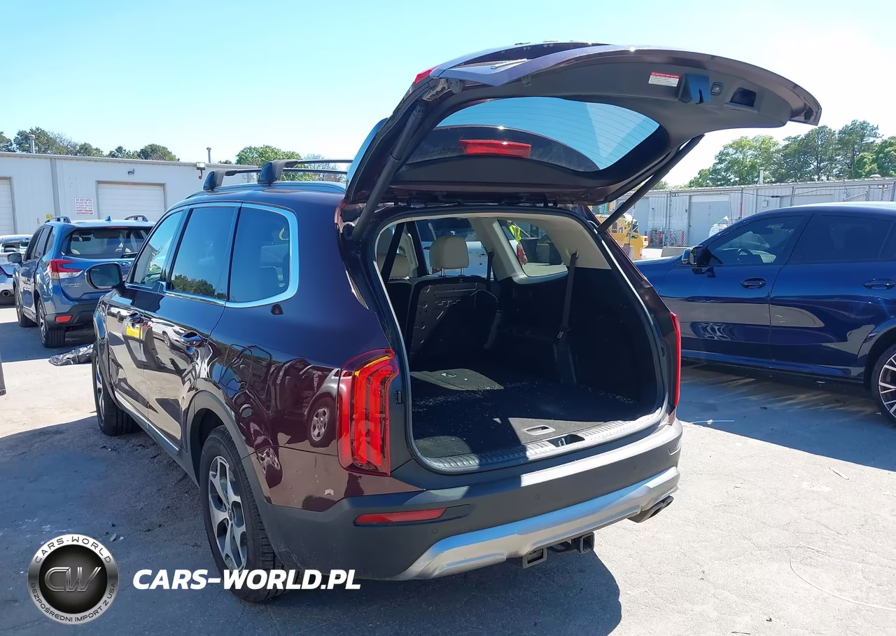 2020 Kia Telluride Ex VIN:5XYP3DHC2LG026593 - 3