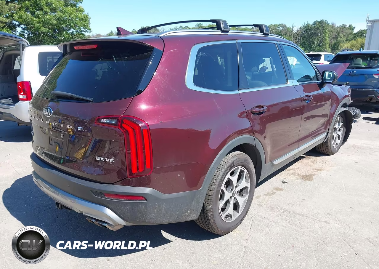 2020 Kia Telluride Ex VIN:5XYP3DHC2LG026593 - 4