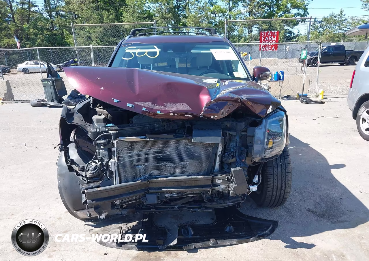 2020 Kia Telluride Ex VIN:5XYP3DHC2LG026593 - 6