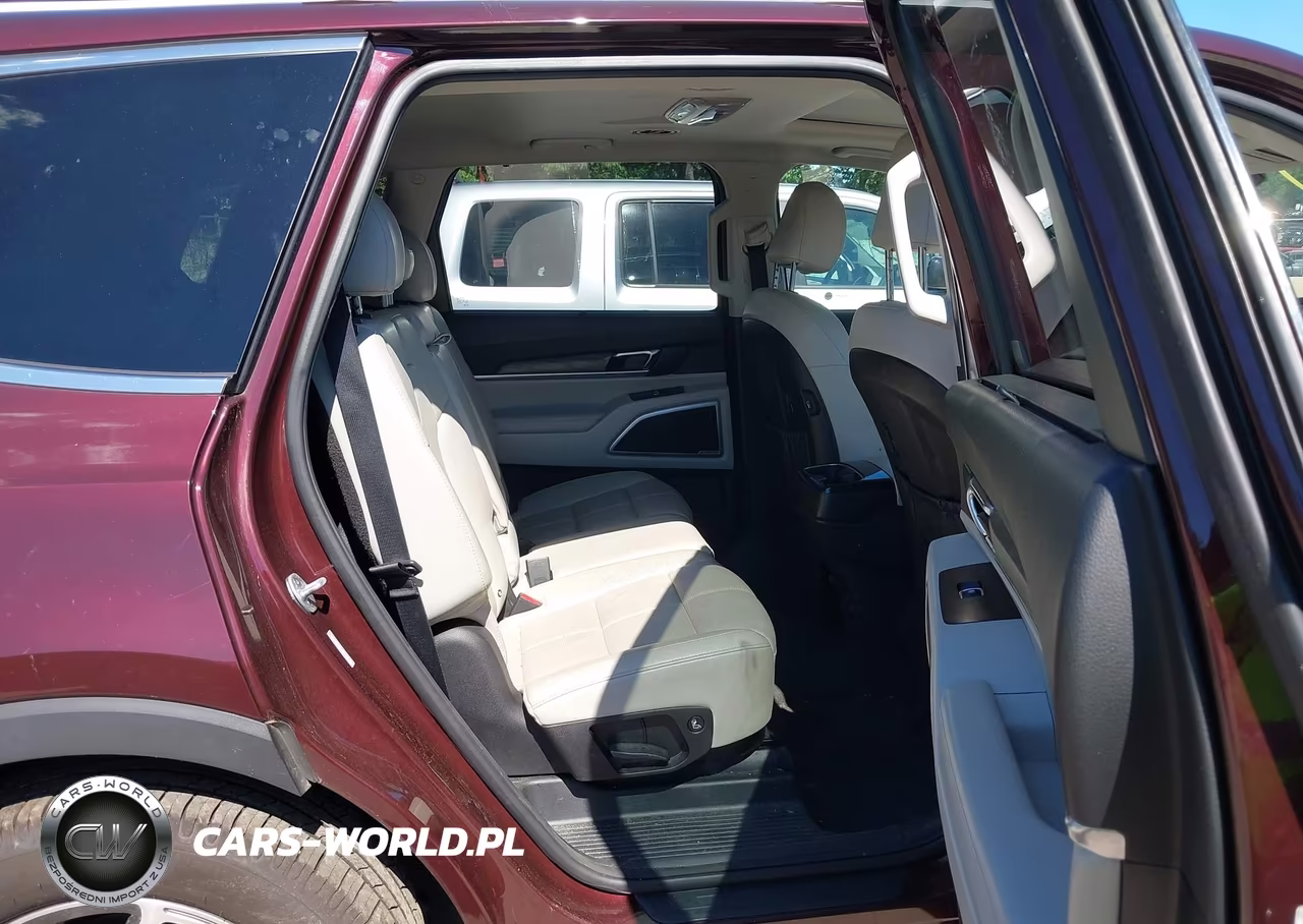 2020 Kia Telluride Ex VIN:5XYP3DHC2LG026593 - 8