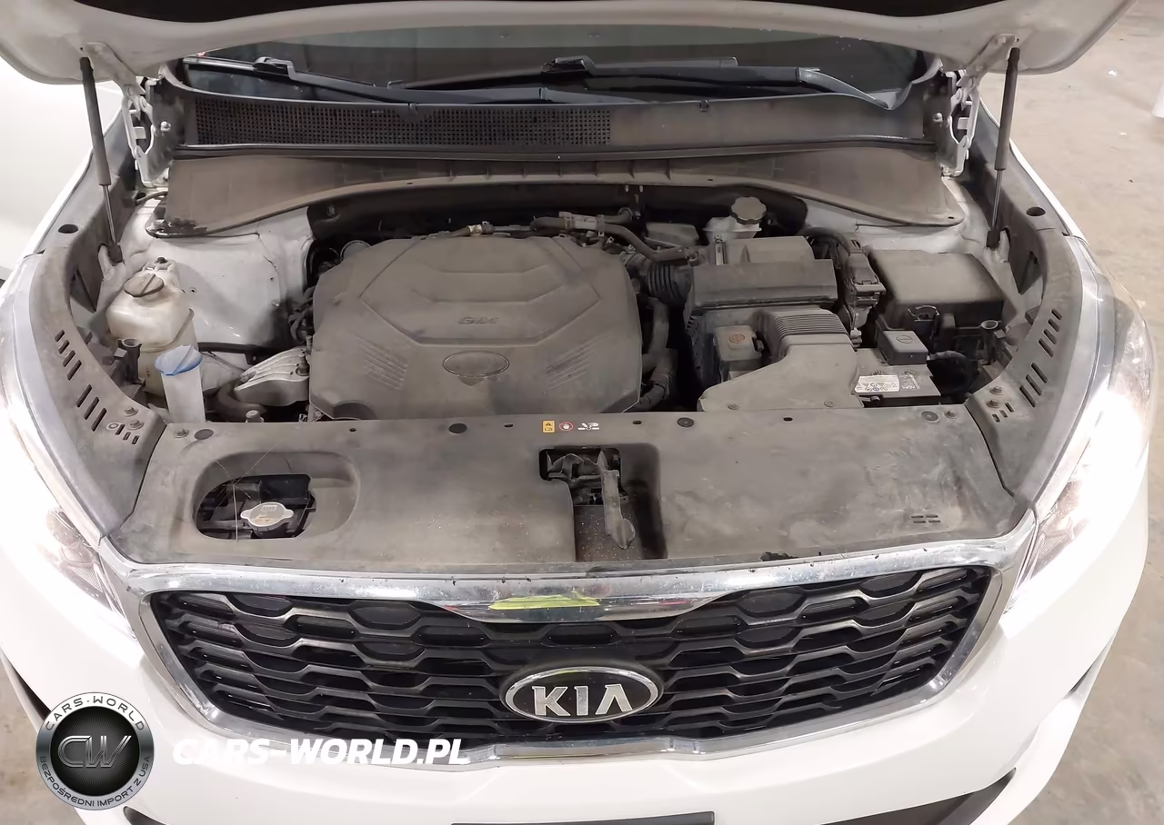 2019 Kia Sorento 3.3L Lx VIN:5XYPGDA56KG518249 - 10