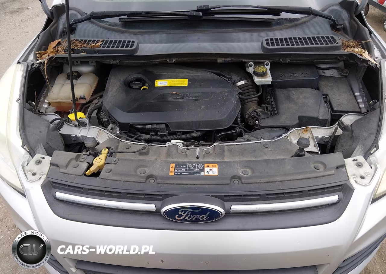 2016 Ford Escape Se VIN:1FMCU0GX8GUA43861 - 10