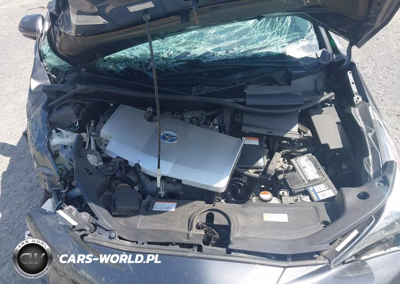 2016 Toyota Prius Four VIN:JTDKARFU1G3013000 - 10