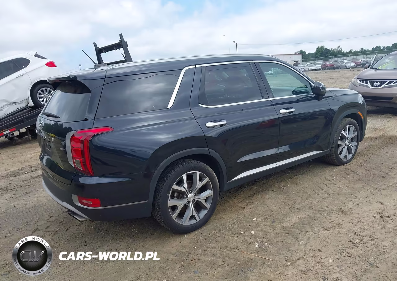 2020 Hyundai Palisade Sel VIN:KM8R4DHE8LU063620 - 4