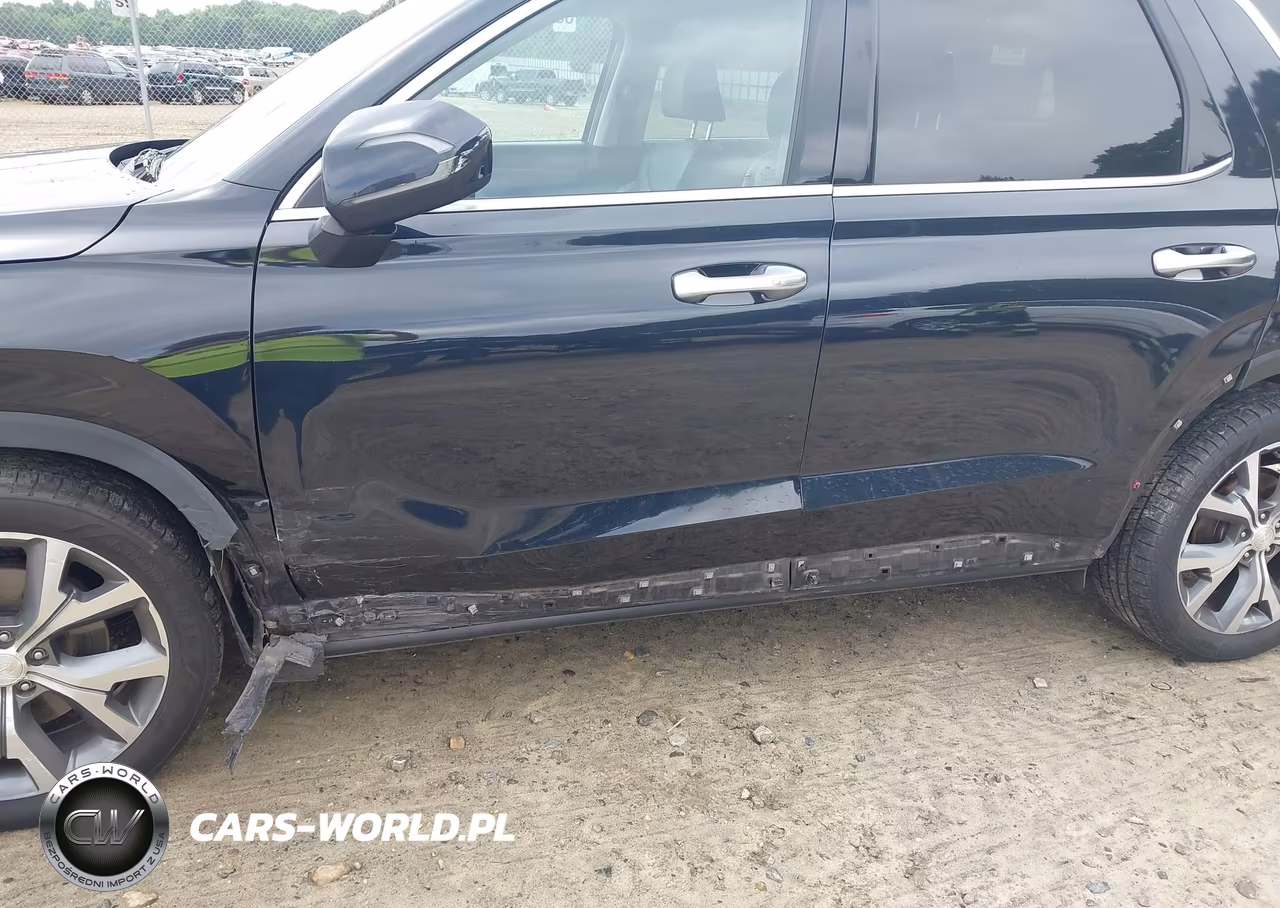 2020 Hyundai Palisade Sel VIN:KM8R4DHE8LU063620 - 6