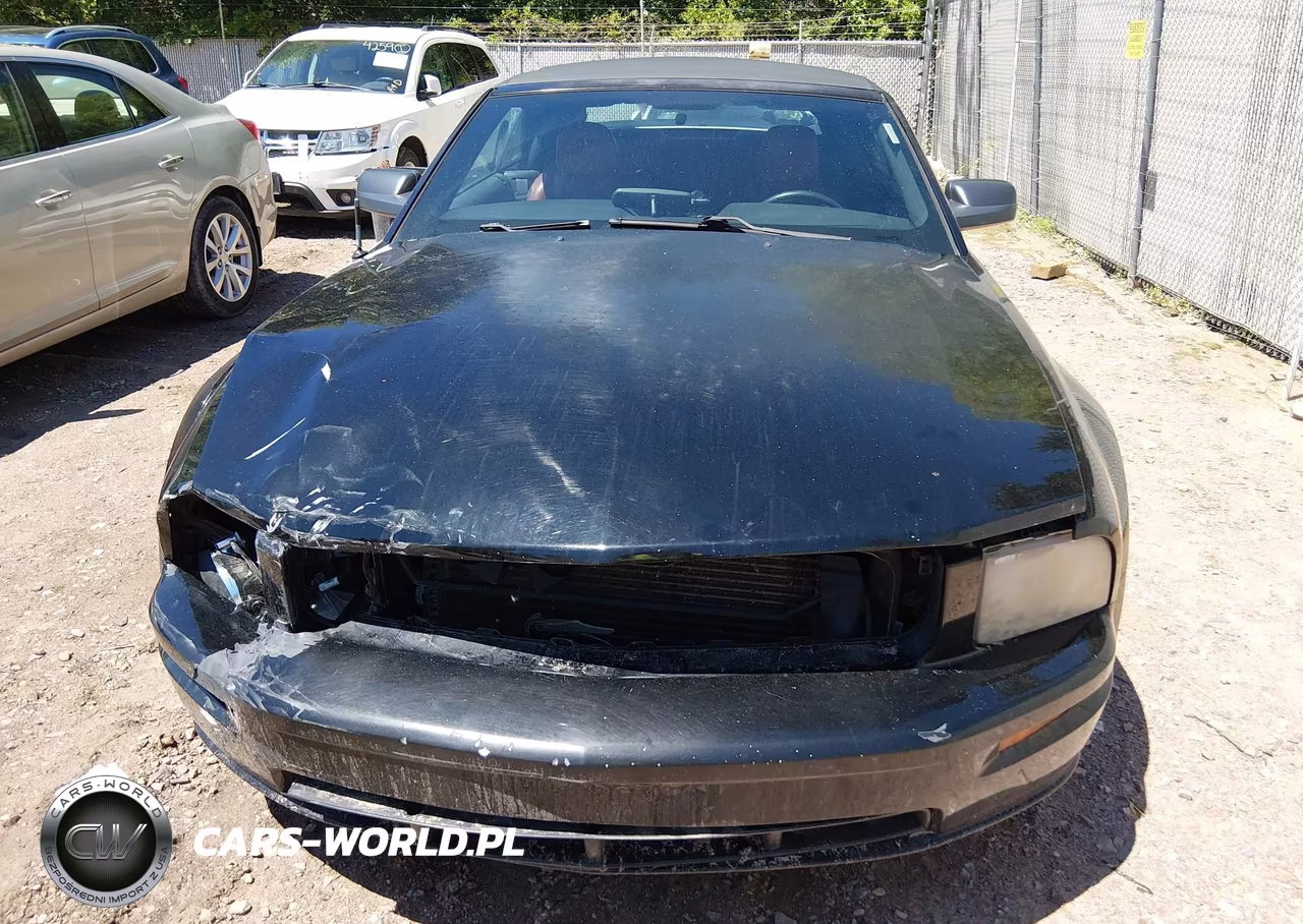 2005 Ford Mustang Gt VIN:1ZVHT85H755251340 - 12