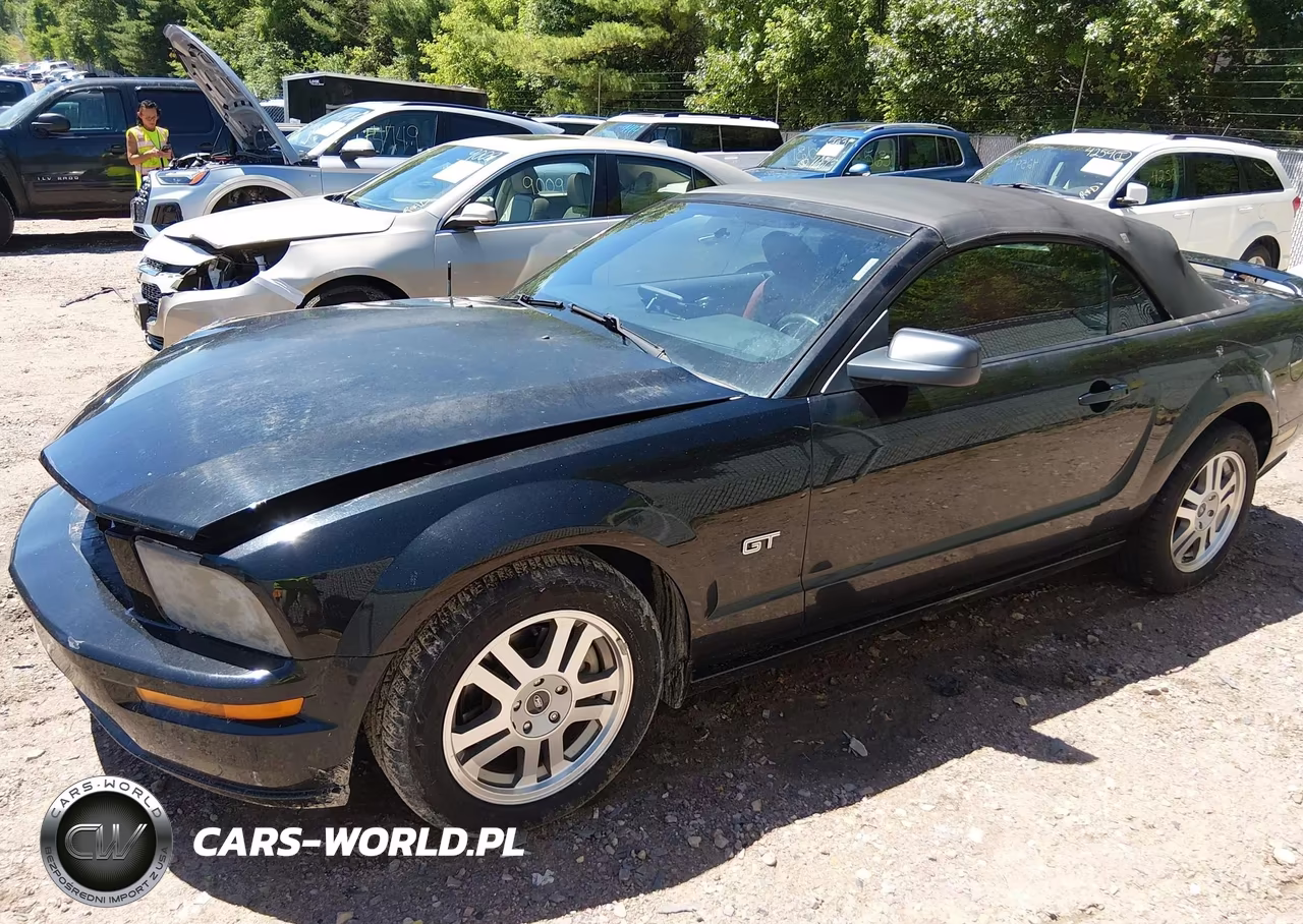 2005 Ford Mustang Gt VIN:1ZVHT85H755251340 - 14