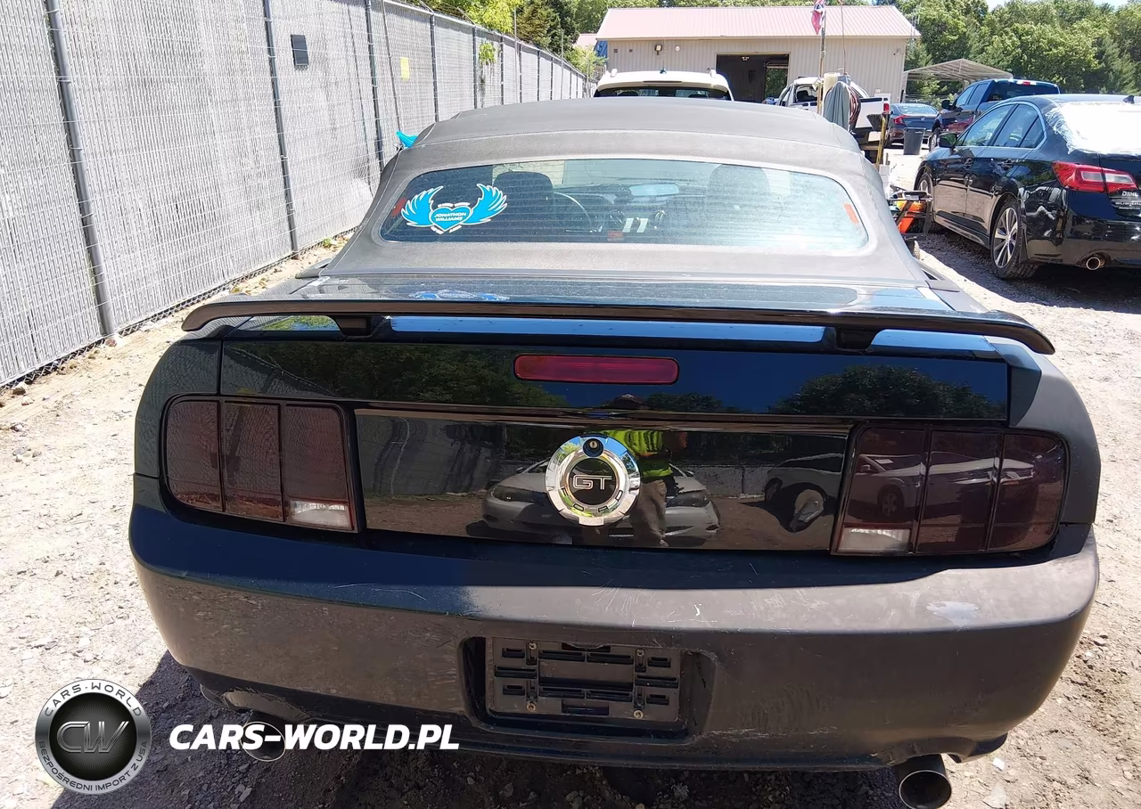 2005 Ford Mustang Gt VIN:1ZVHT85H755251340 - 16