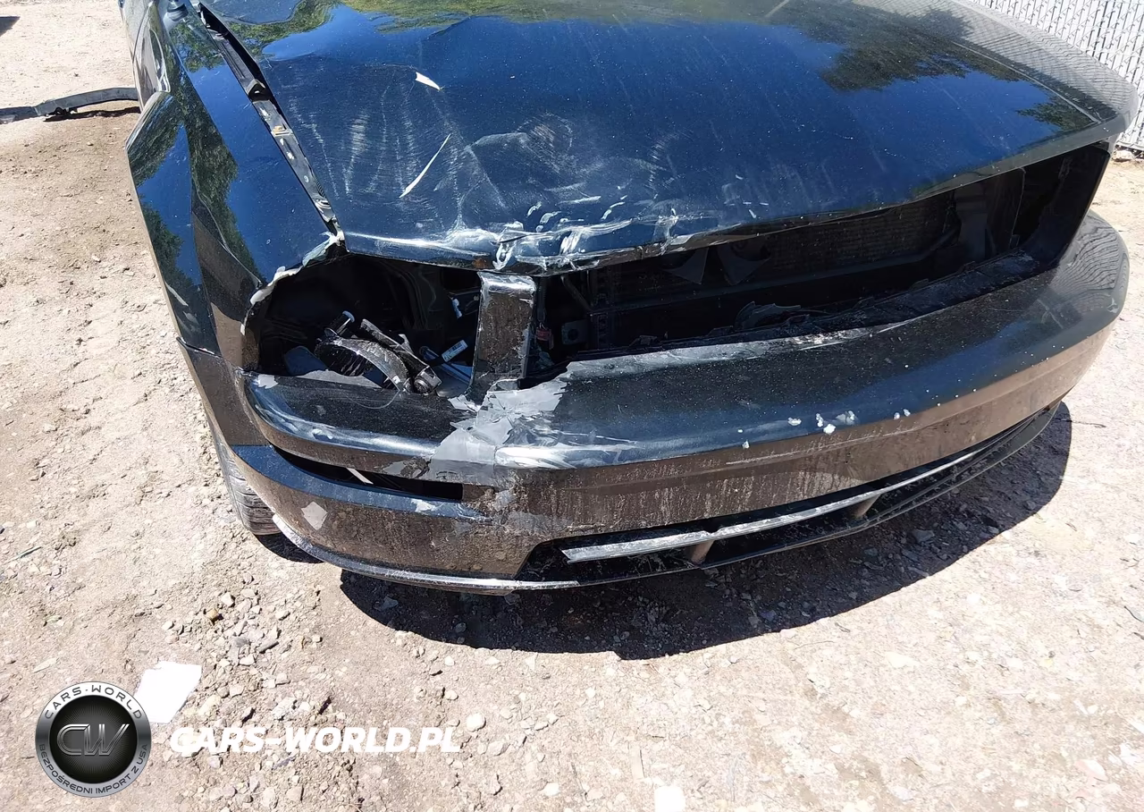 2005 Ford Mustang Gt VIN:1ZVHT85H755251340 - 17