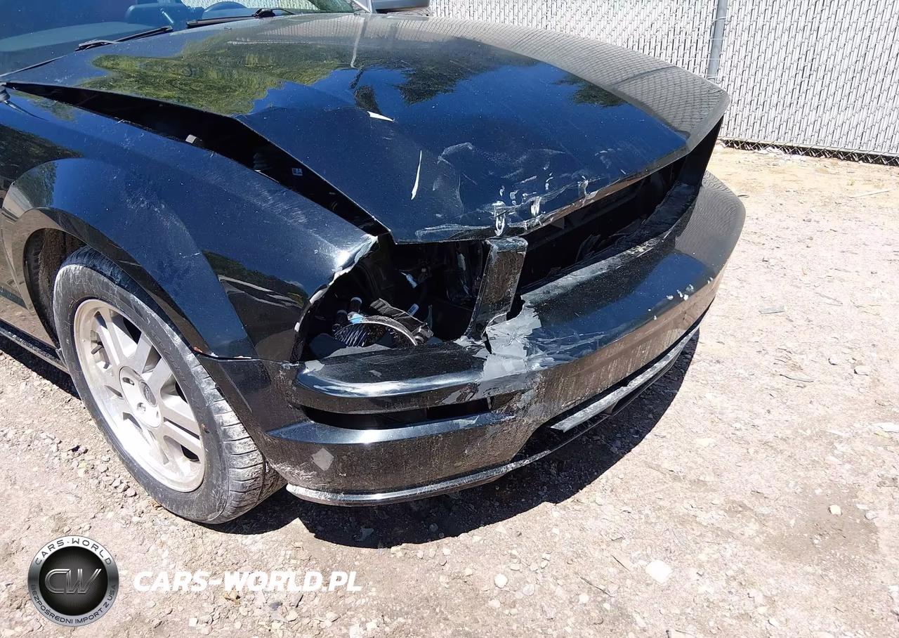 2005 Ford Mustang Gt VIN:1ZVHT85H755251340 - 18