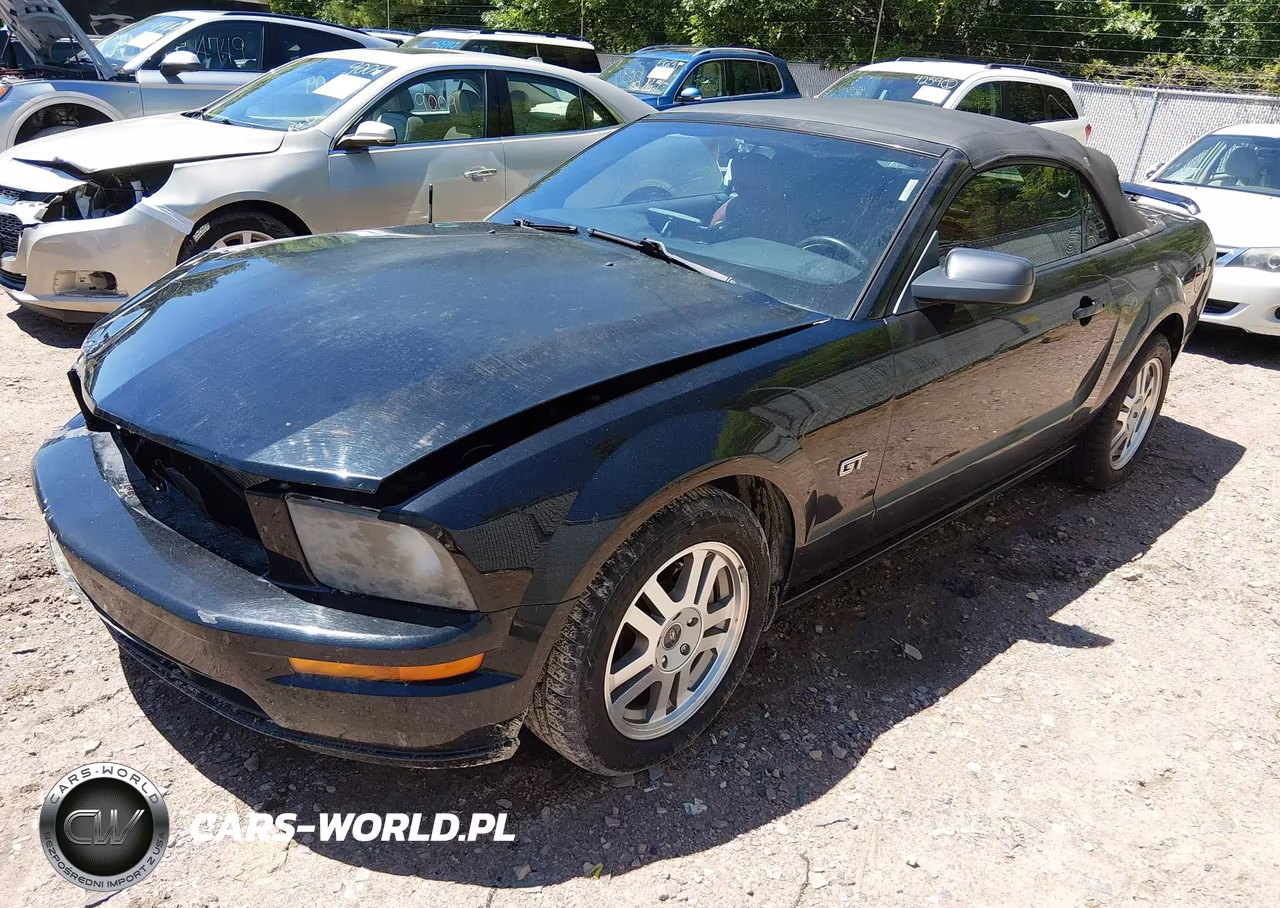 2005 Ford Mustang Gt VIN:1ZVHT85H755251340 - 2