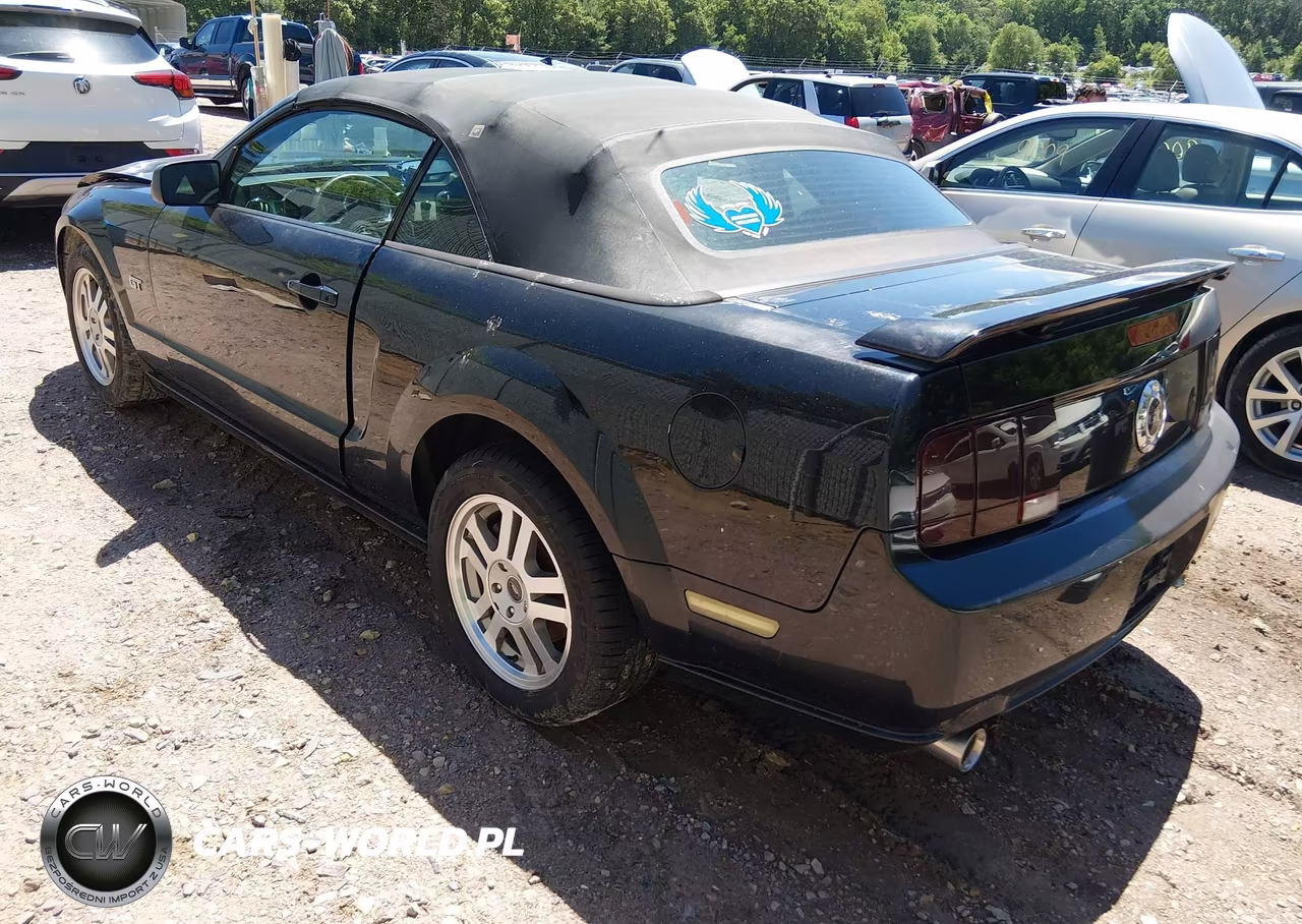 2005 Ford Mustang Gt VIN:1ZVHT85H755251340 - 3