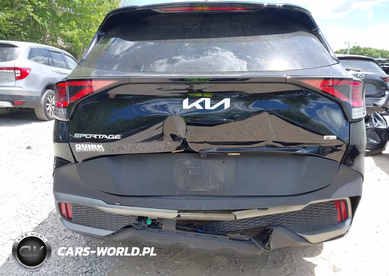 2024 Kia Sportage X-Line VIN:5XYK6CDF8RG186255 - 17