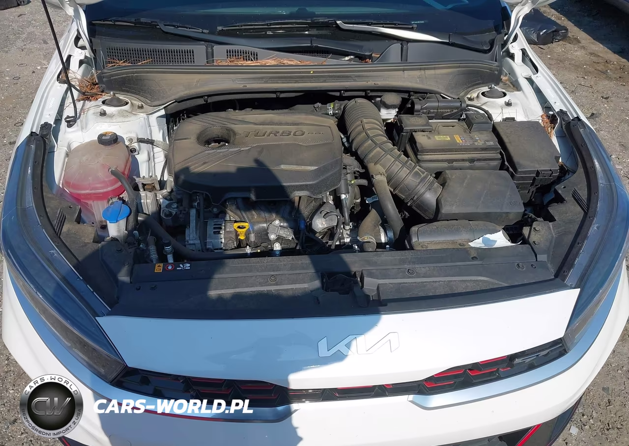 2024 Kia Forte Gt VIN:3KPF44AC4RE794665 - 10