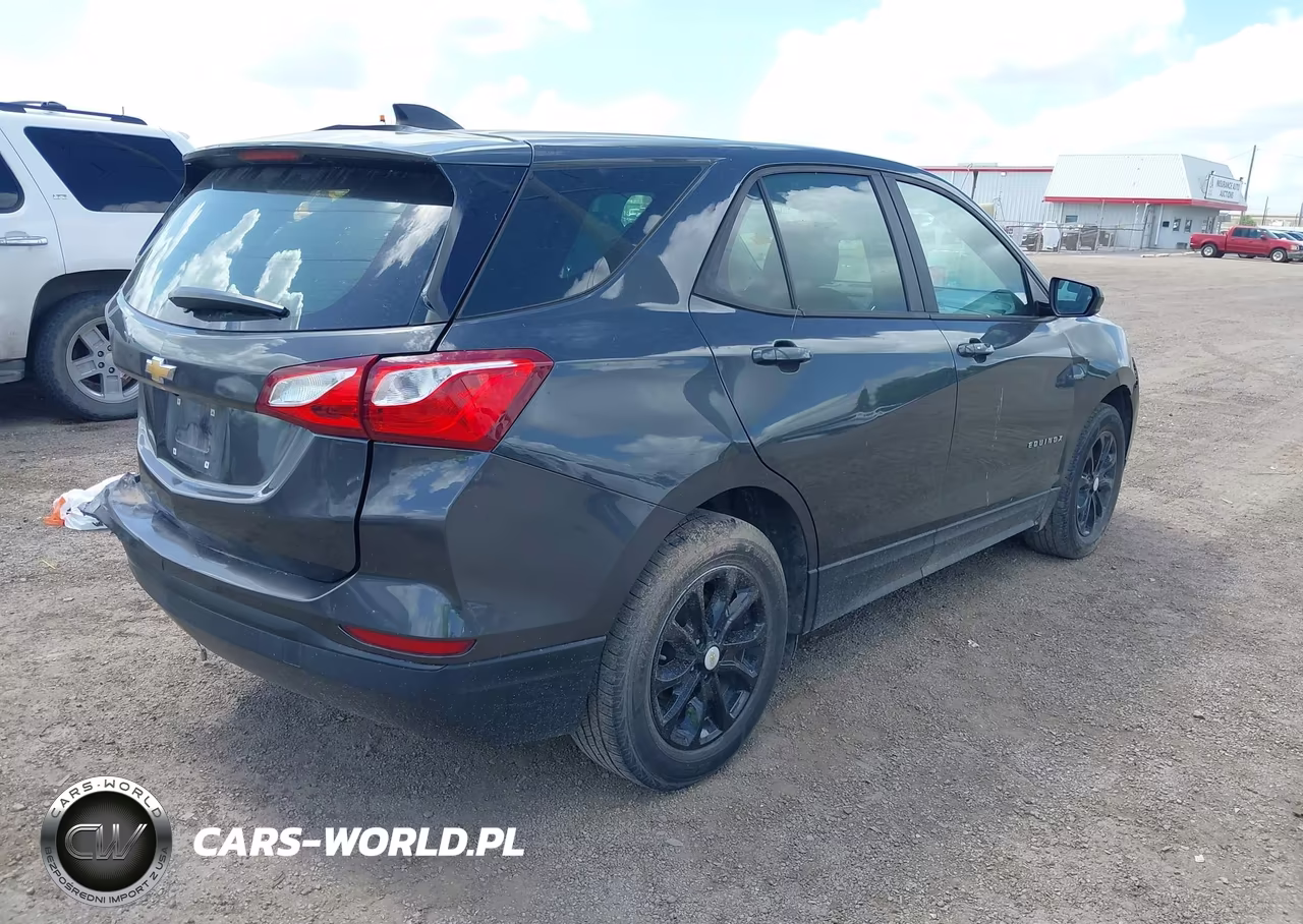 2020 Chevrolet Equinox Fwd Ls VIN:2GNAXHEV8L6272494 - 4