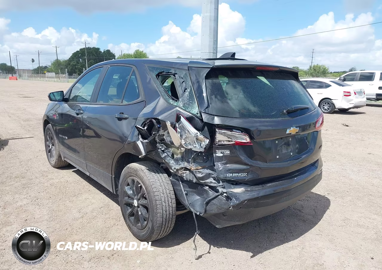 2020 Chevrolet Equinox Fwd Ls VIN:2GNAXHEV8L6272494 - 6