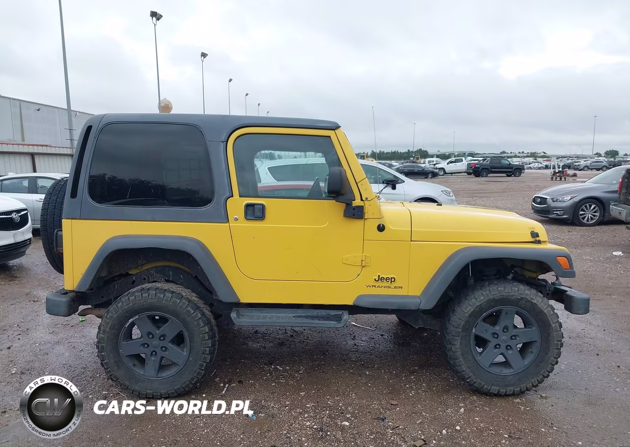2003 Jeep Wrangler Sport VIN:1J4FA49S53P372782 - 13