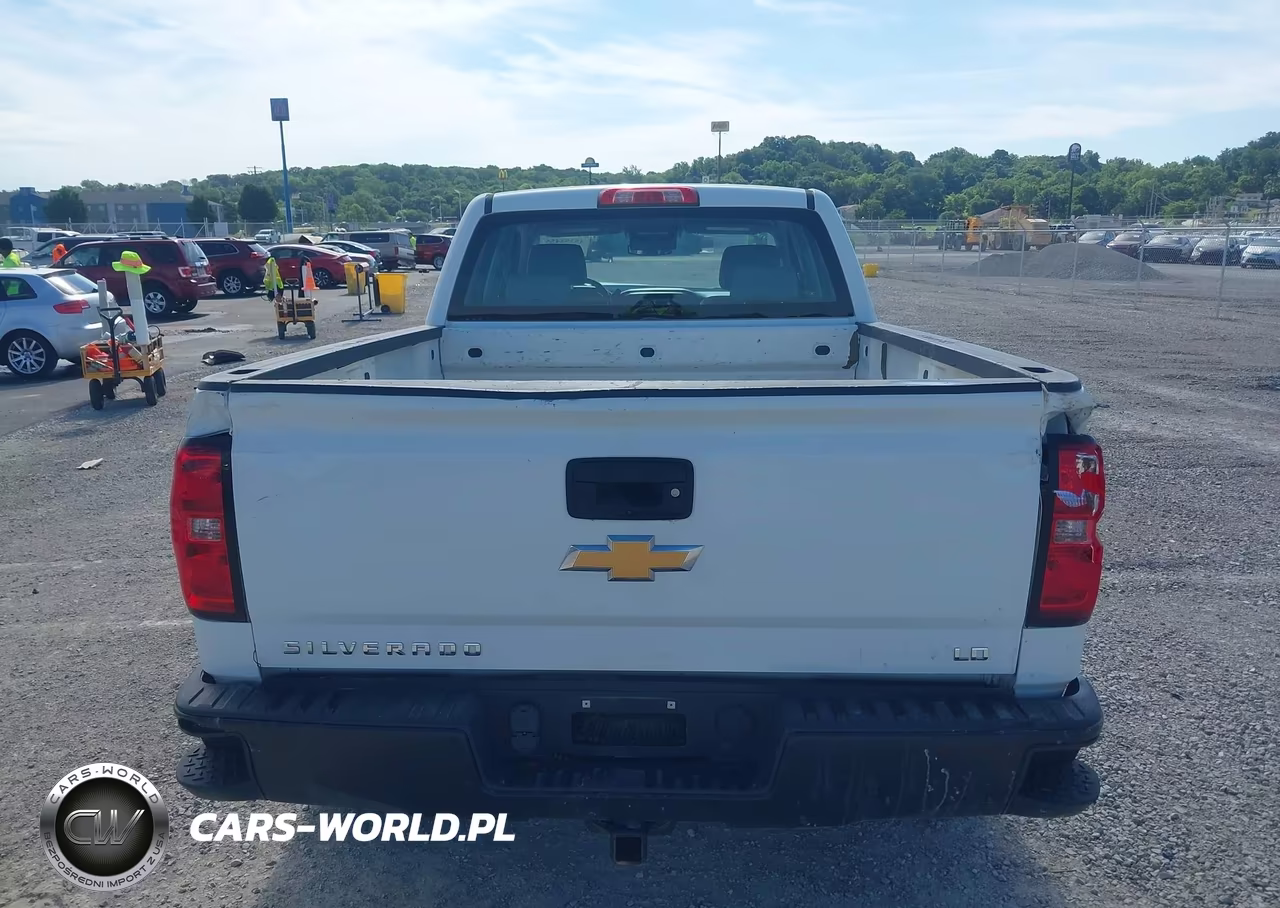 2019 Chevrolet Silverado 1500 Ld Wt VIN:2GCVKNEC1K1224675 - 16