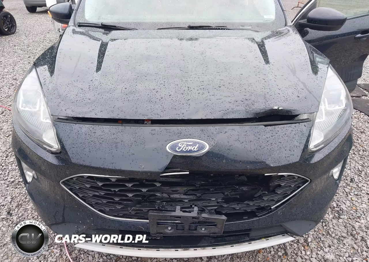 2021 Ford Escape Sel Hybrid VIN:1FMCU9CZ3MUB19087 - 6