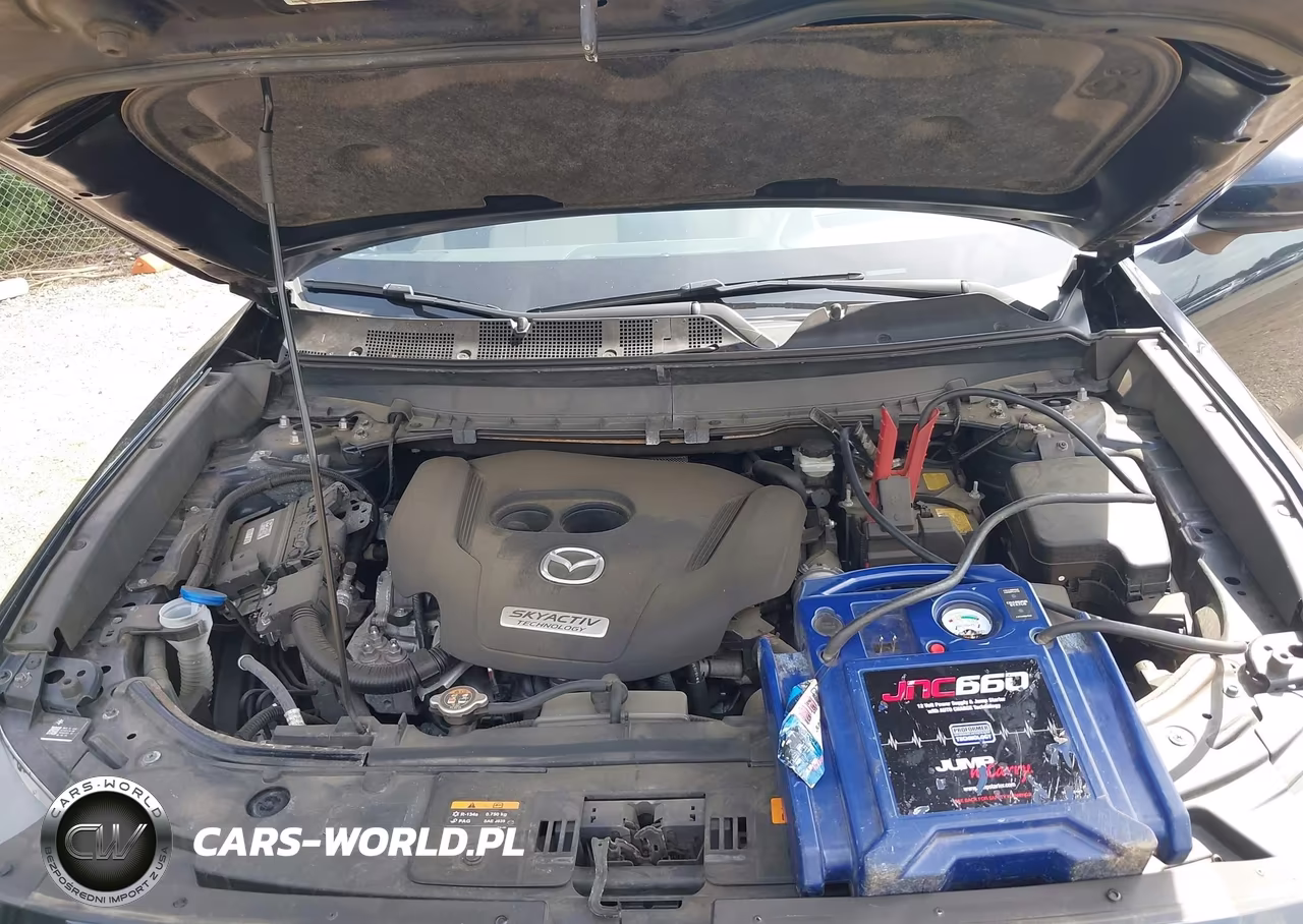 2019 Mazda Cx-9 Grand Touring VIN:JM3TCBDY8K0300315 - 10