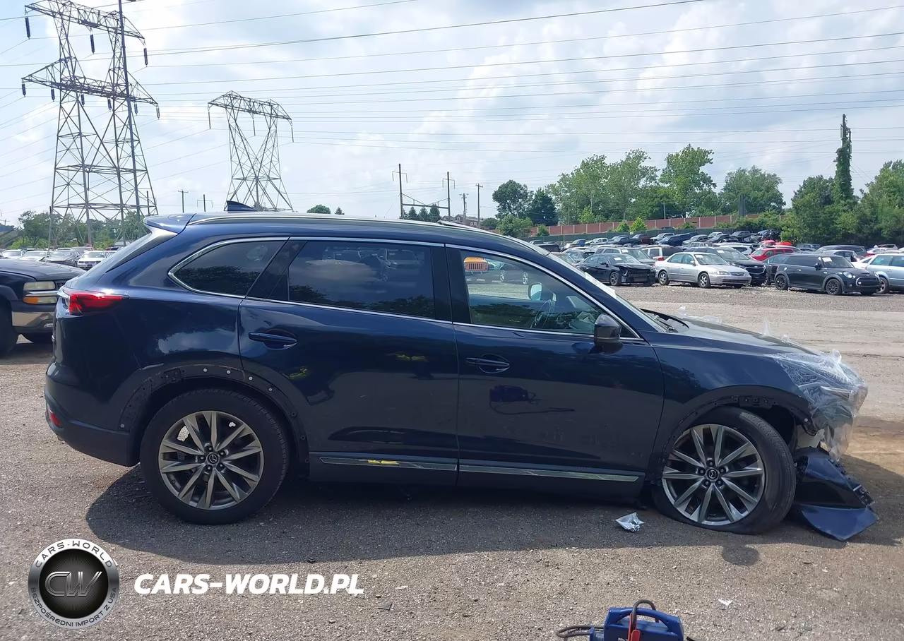 2019 Mazda Cx-9 Grand Touring VIN:JM3TCBDY8K0300315 - 13