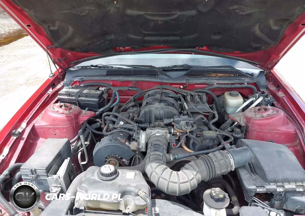 2005 Ford Mustang V6 Deluxe-V6 Premium VIN:1ZVFT80N855172084 - 10