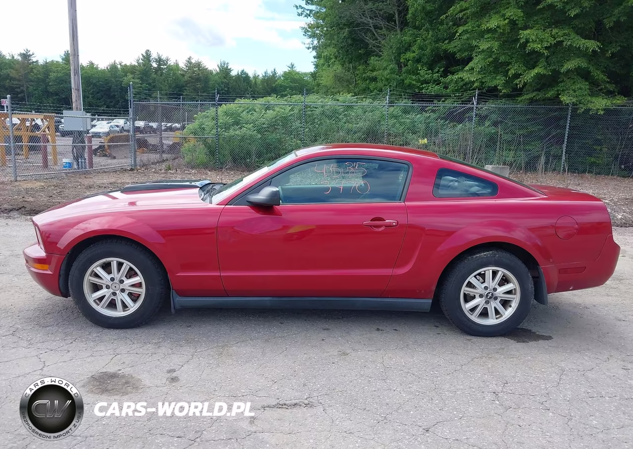 2005 Ford Mustang V6 Deluxe-V6 Premium VIN:1ZVFT80N855172084 - 12