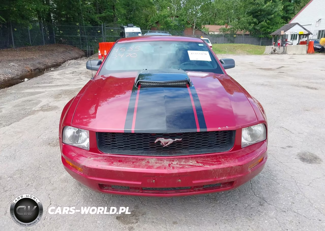 2005 Ford Mustang V6 Deluxe-V6 Premium VIN:1ZVFT80N855172084 - 13