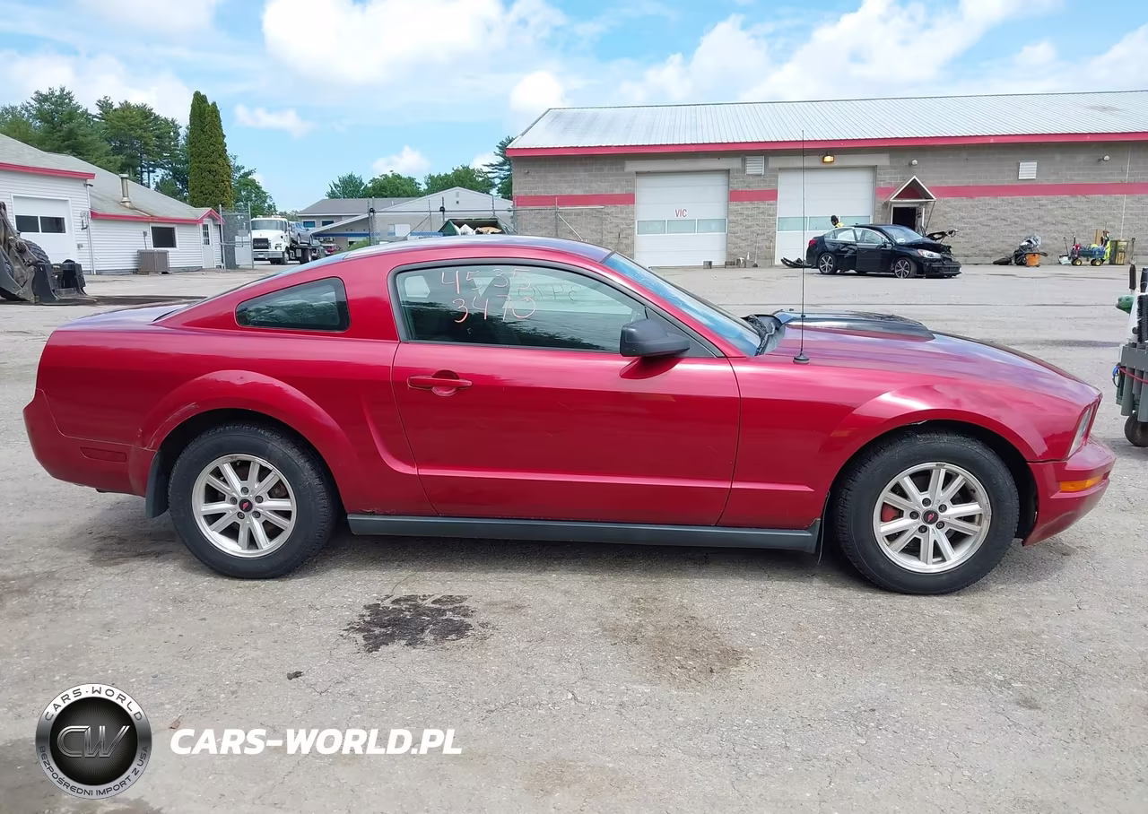 2005 Ford Mustang V6 Deluxe-V6 Premium VIN:1ZVFT80N855172084 - 14