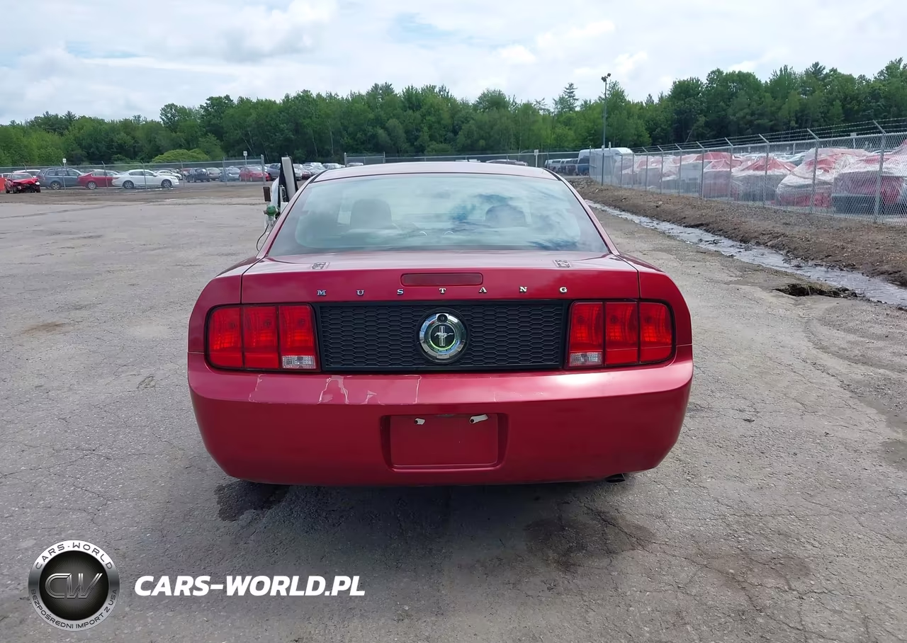 2005 Ford Mustang V6 Deluxe-V6 Premium VIN:1ZVFT80N855172084 - 15